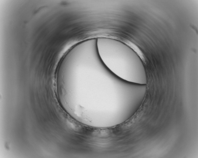 X0000096451051200801241136