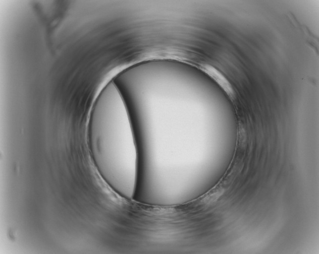 X0000096451052200801241136