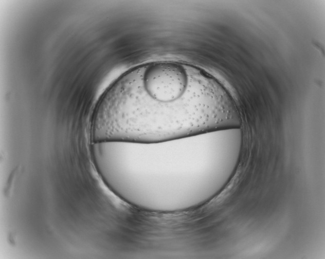 X0000096451054200801241136