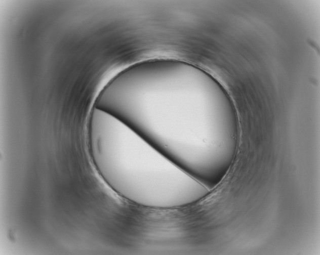 X0000096451056200801241136