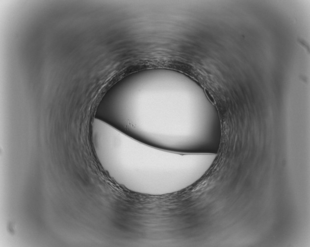 X0000096451057200801241135
