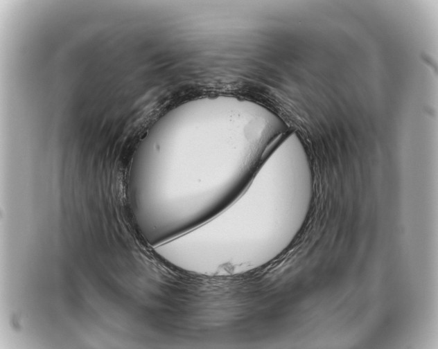 X0000096451058200801241135