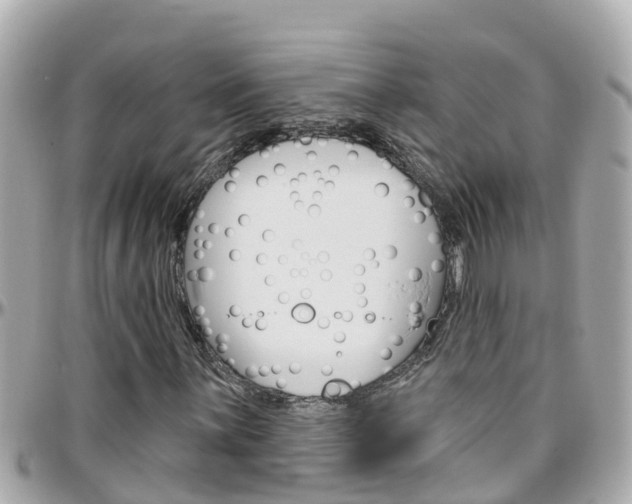 X0000096451059200801241135