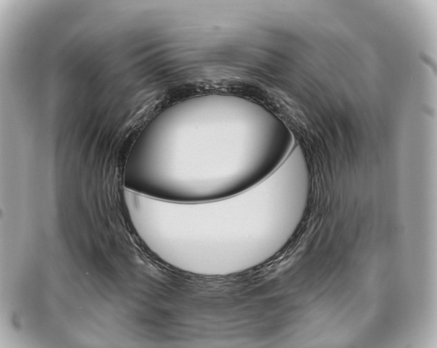 X0000096451060200801241135