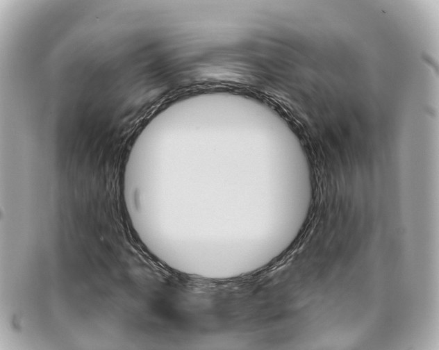 X0000096451061200801241135