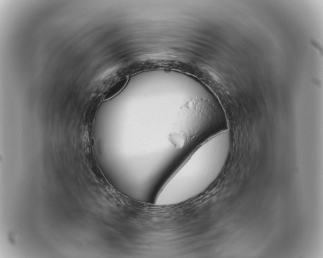 X0000096451062200801241135