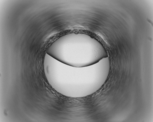 X0000096451063200801241135