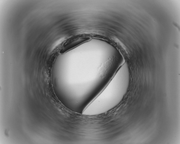 X0000096451064200801241135