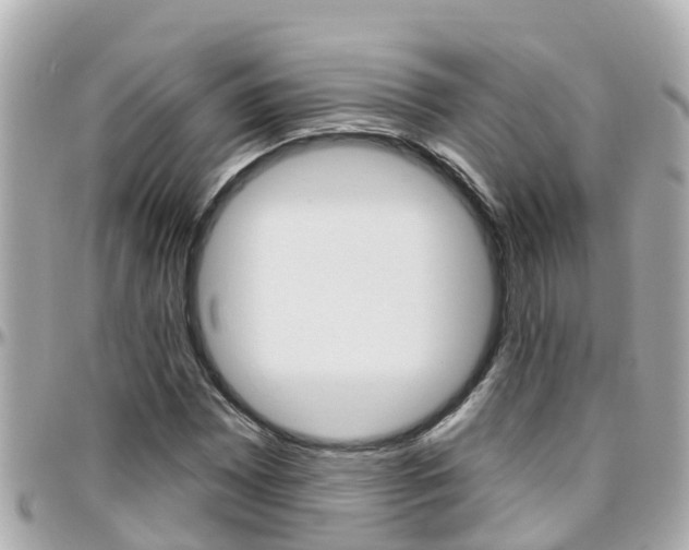 X0000096451065200801241135