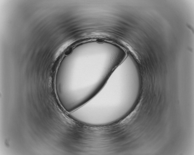 X0000096451066200801241135