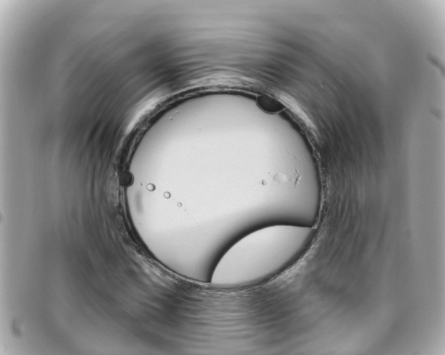 X0000096451067200801241135