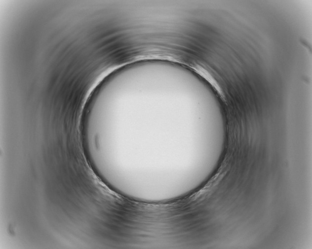 X0000096451068200801241135