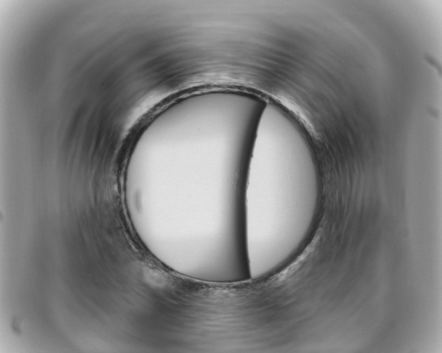 X0000096451070200801241135
