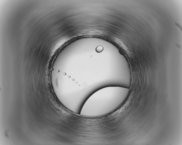 X0000096451071200801241135