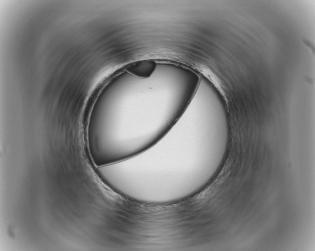 X0000096451072200801241135