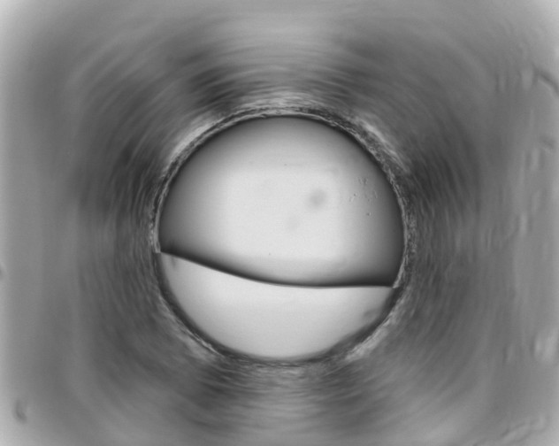 X0000096451073200801241135