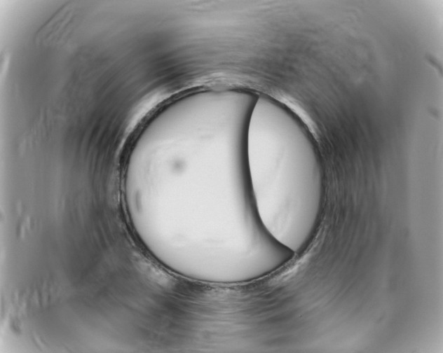 X0000096451075200801241135