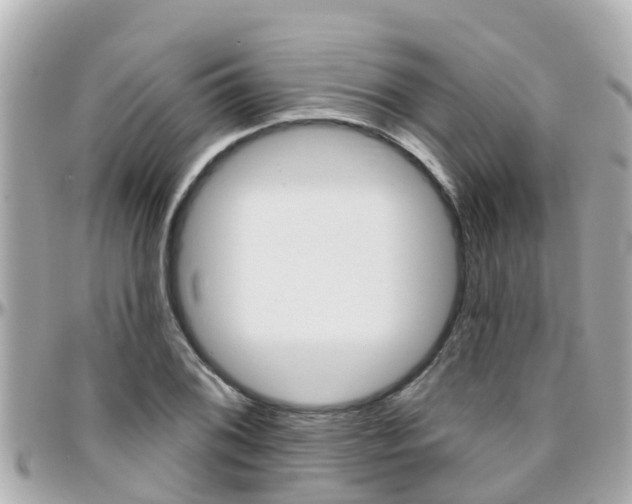 X0000096451076200801241135