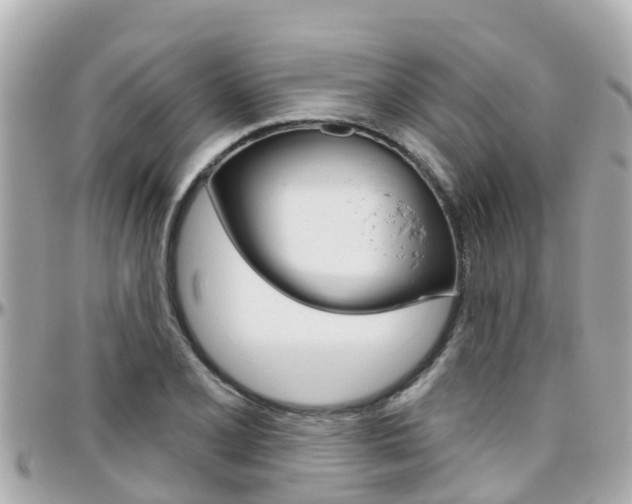 X0000096451077200801241135