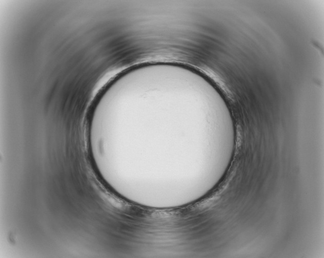 X0000096451078200801241135