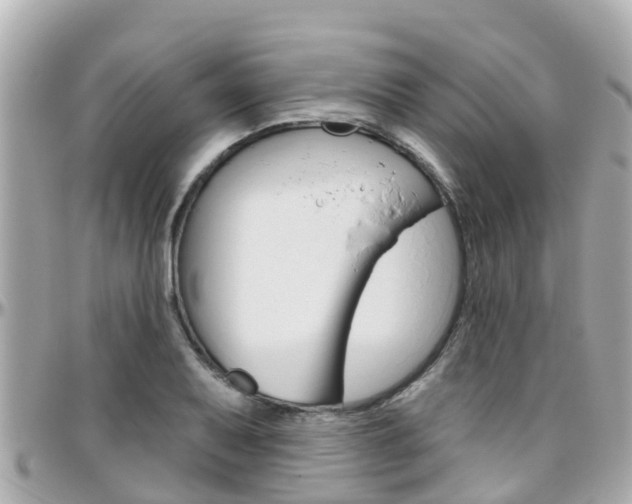 X0000096451079200801241135