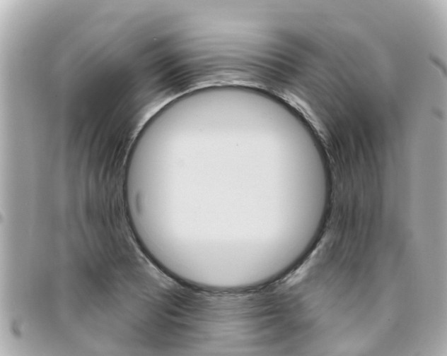 X0000096451081200801241135