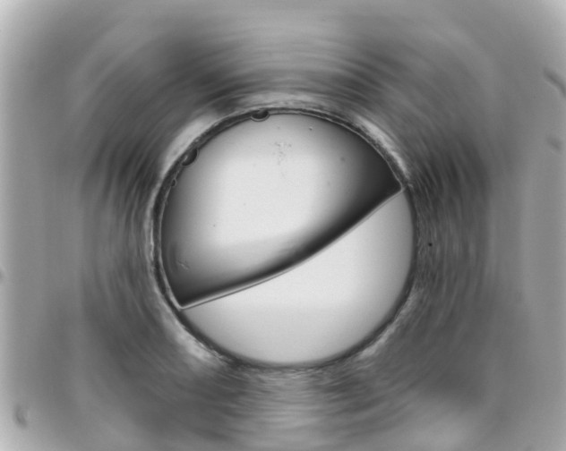 X0000096451082200801241135