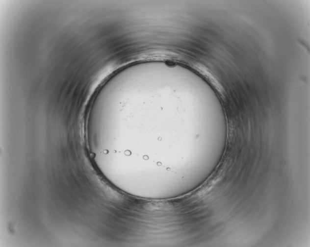 X0000096451083200801241135