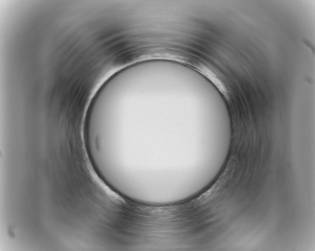 X0000096451084200801241135