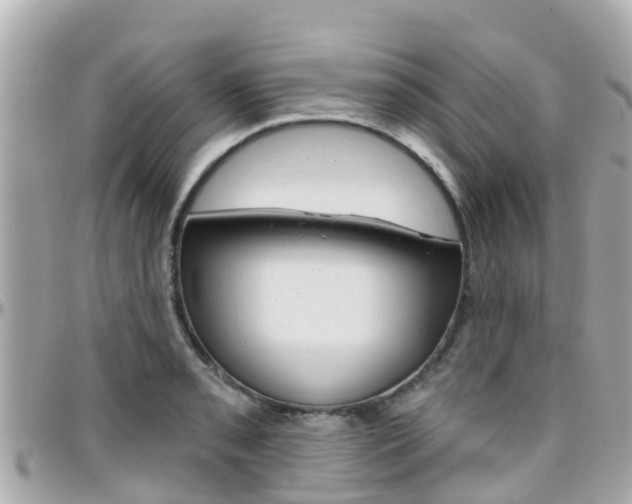 X0000096451085200801241135