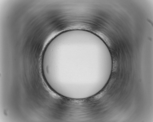 X0000096451086200801241135