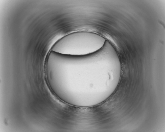 X0000096451087200801241135