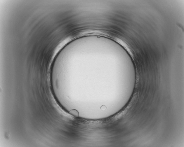 X0000096451090200801241135