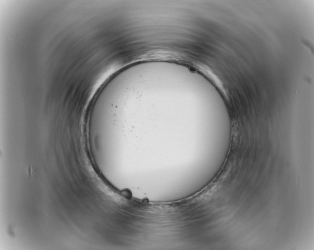 X0000096451091200801241135