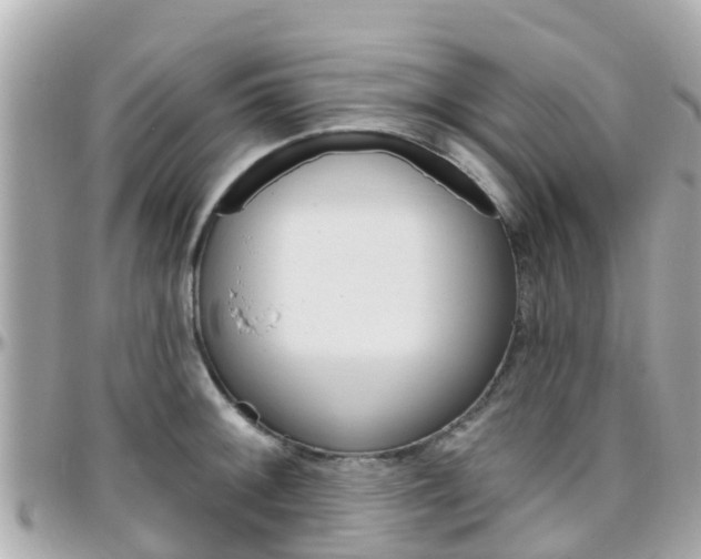 X0000096451092200801241135