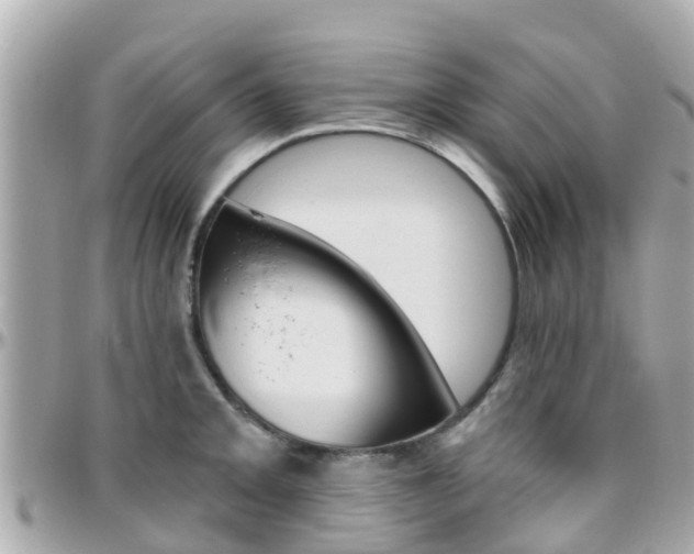 X0000096451093200801241135