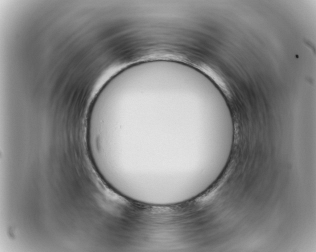 X0000096451094200801241135