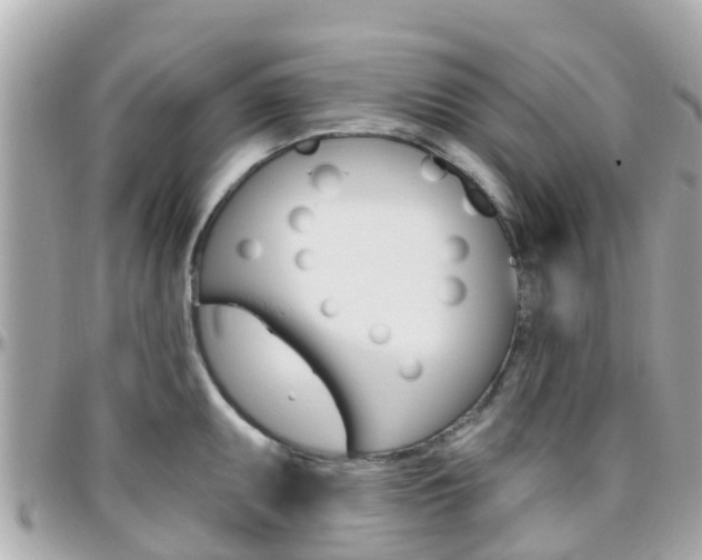 X0000096451095200801241135