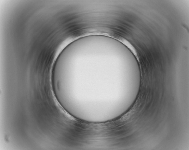 X0000096451096200801241135