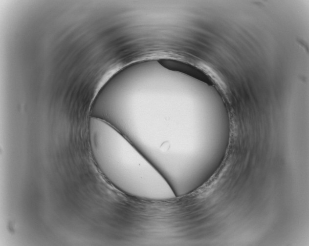 X0000096451097200801241135