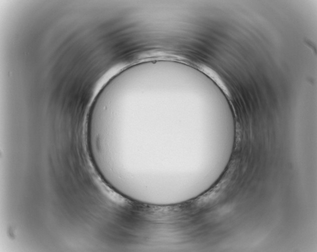 X0000096451098200801241135