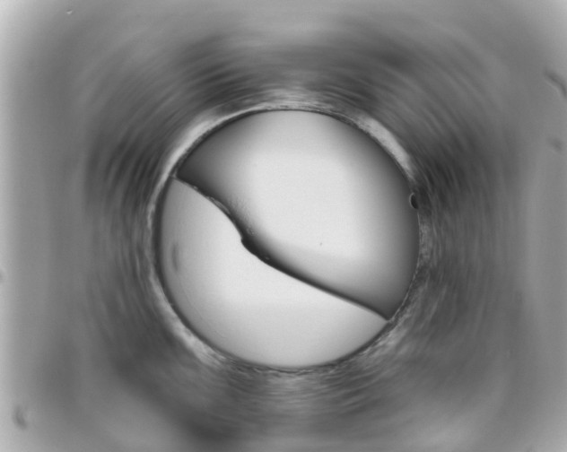 X0000096451099200801241135