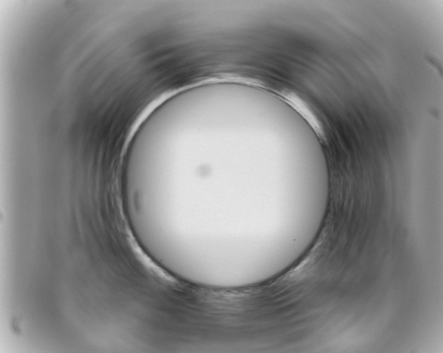 X0000096451100200801241135