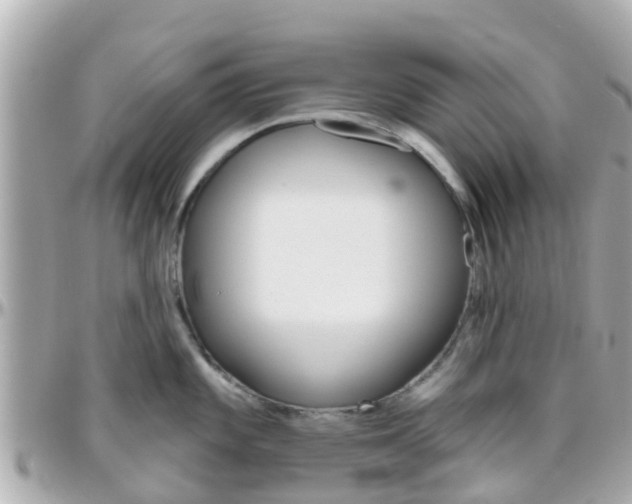 X0000096451101200801241135
