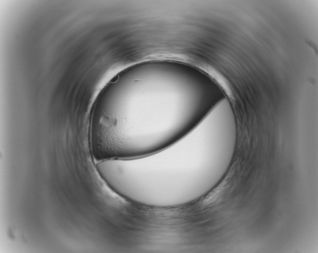 X0000096451102200801241135