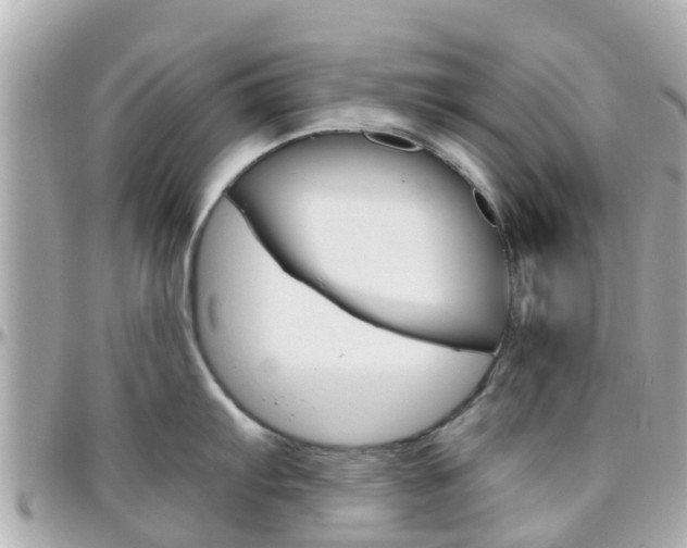 X0000096451103200801241135