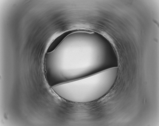 X0000096451104200801241135