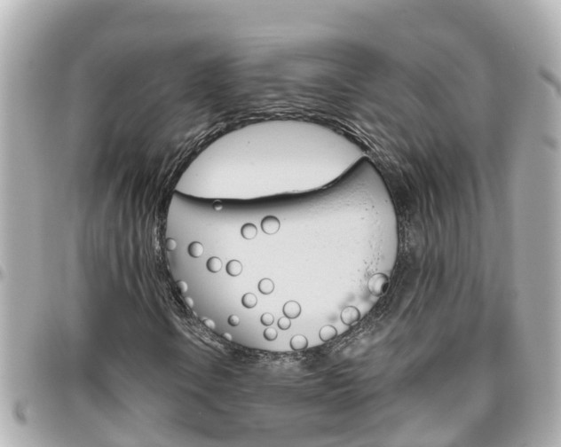 X0000096451106200801241134