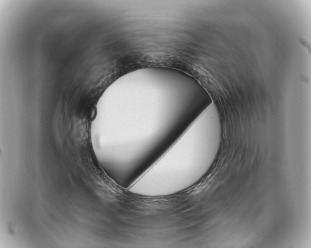 X0000096451107200801241134