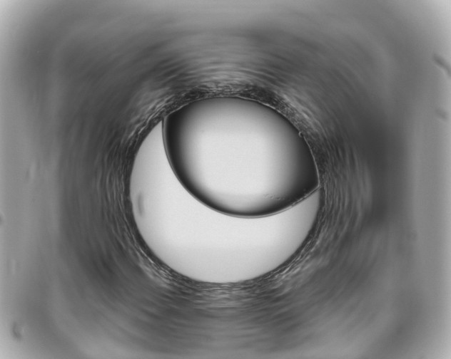 X0000096451108200801241134